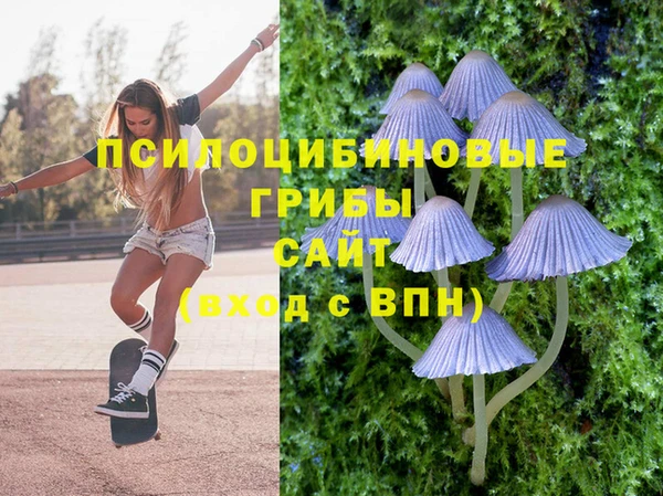 герыч Надым