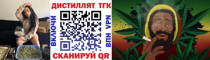 Купить где  Губаха  ТГК концентрат 