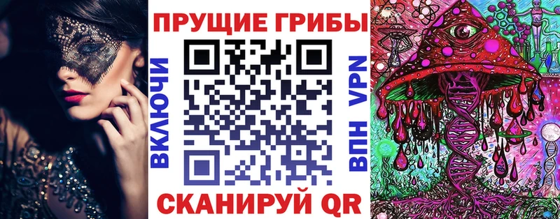 Псилоцибиновые грибы Cubensis  Купить  Губаха 